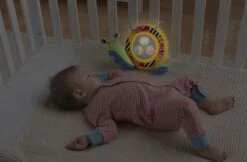 Lamaze Sing And Shine Shelly Mirror -Stroller Shop 24 04 20163238081869 lamaze shine and sounds shelly 5B45D 1615 p